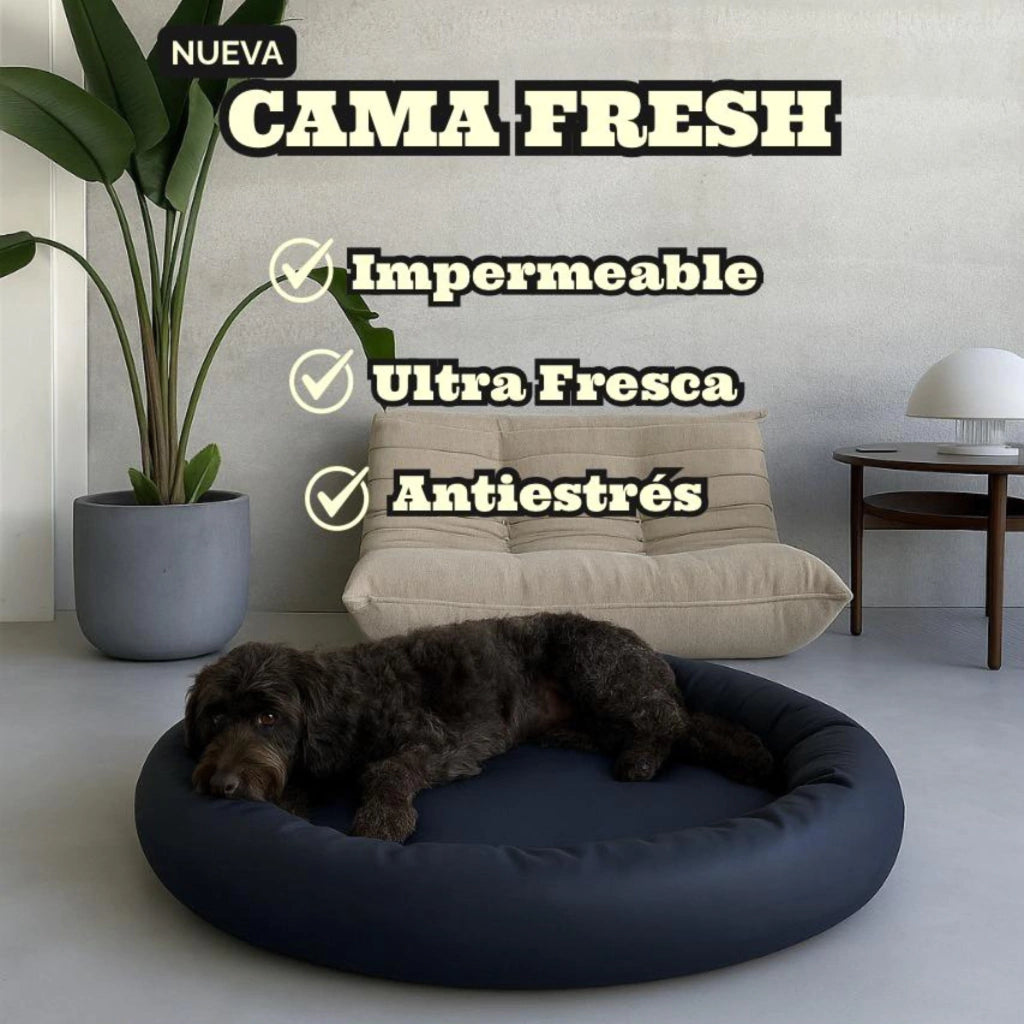 Cama DogLove - Super rellena Fresh Version